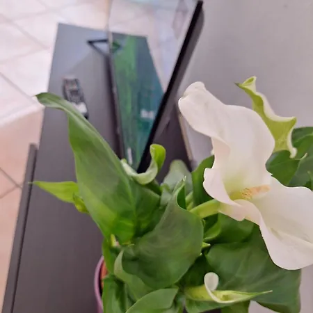 Casa Ida Апартаменты *