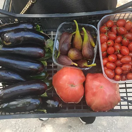 Apartment Casa Ida Scaltenigo